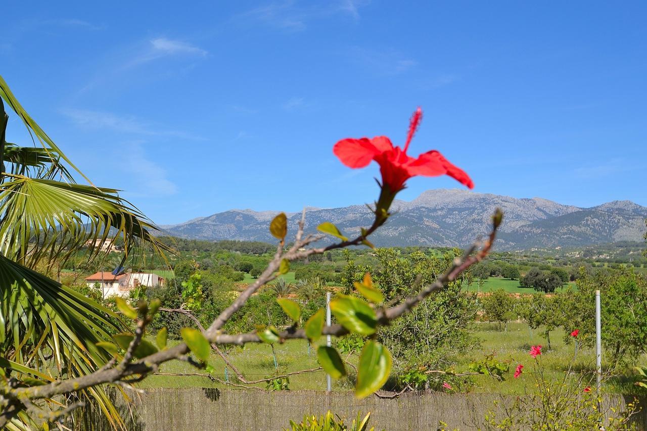 Tramuntana 171 By Mallorca Charme * Inca (Mallorca)